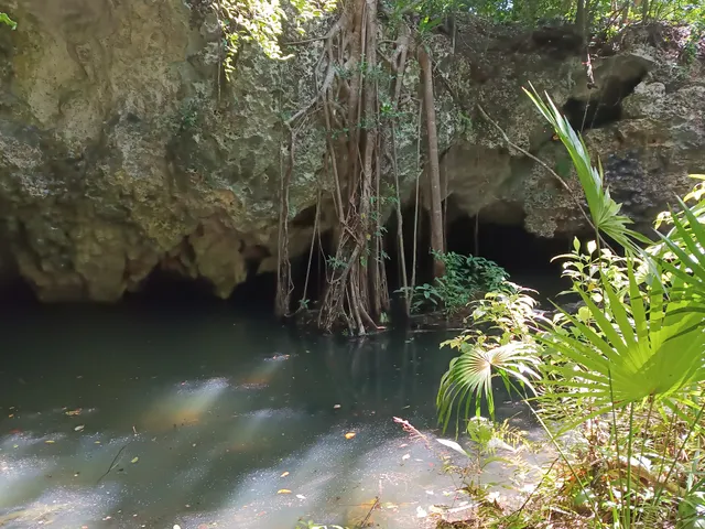 Cenote Urbano la Joya