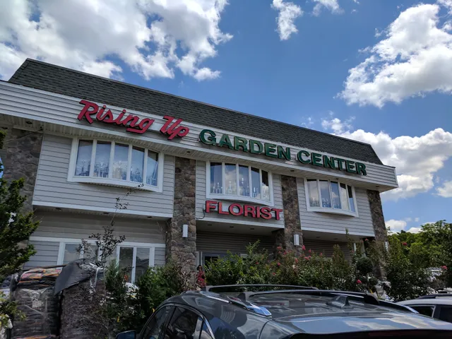 Rising Up Garden Center, Landscape Design & Florist