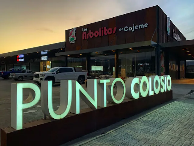 Los Arbolitos de Cajeme Saltillo