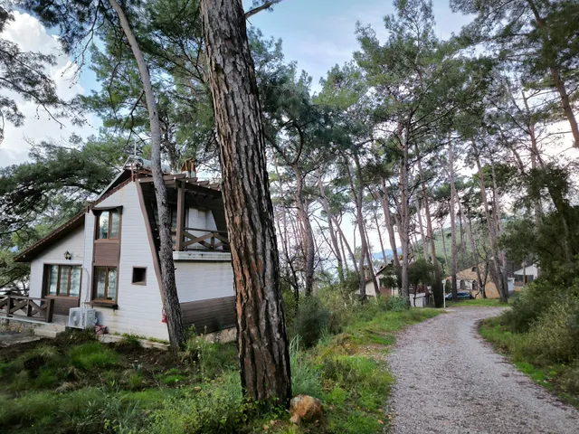 Akyaka Forest Camp