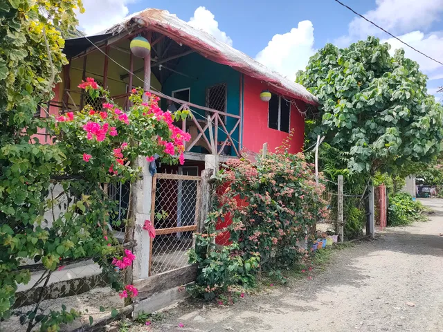 A.S.J BACPACKER'S PLACE AT BALER