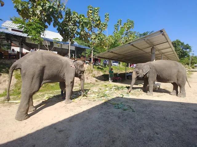 Elephant Retirement Park