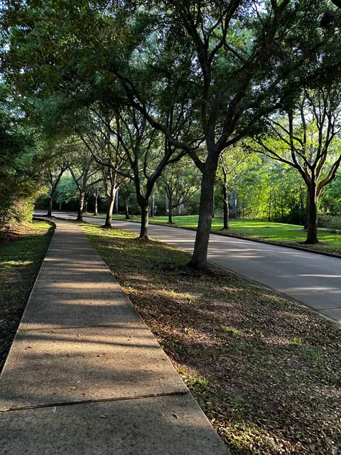 Pine Brook North Wetlands