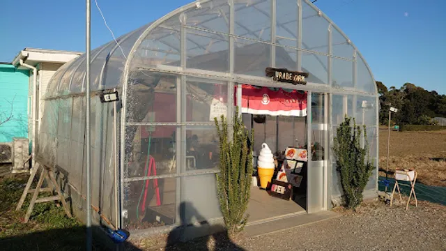 Black strawberry cafe - Urabe farm