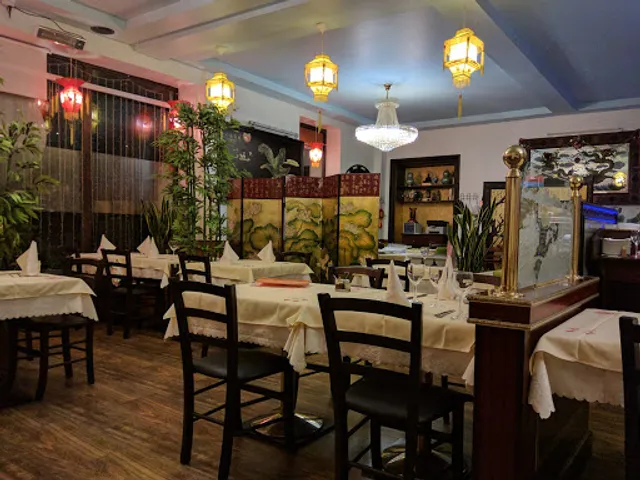 Le Petit Dragon Forsythia