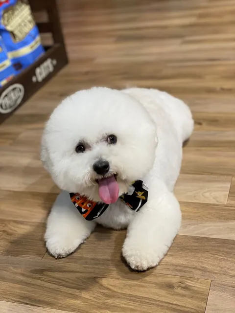 Max's Pet Market & Salon (Starkey Ranch)