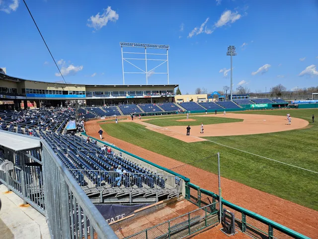 Medlar Field