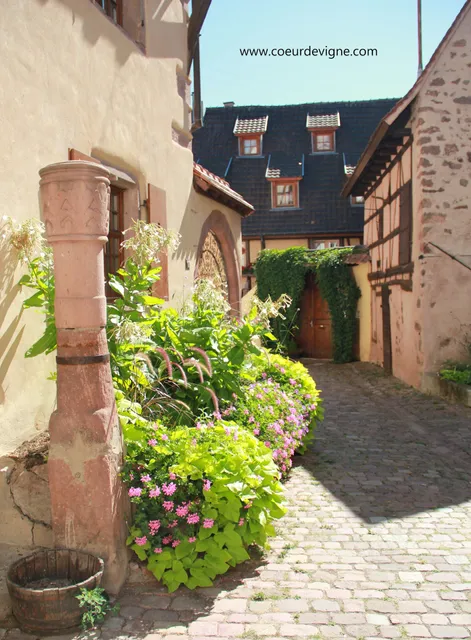 Gîtes Cœur de Vigne - Appartements de charme à Riquewihr