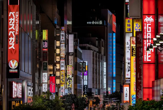 COCOSHUKU 新宿花園
