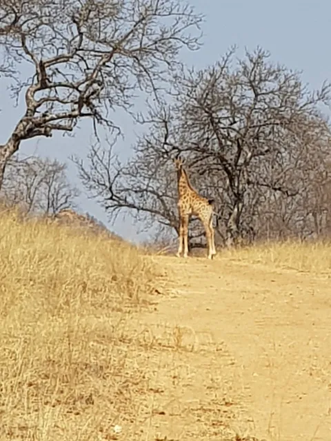 Ndzalama Wildlife Reserve