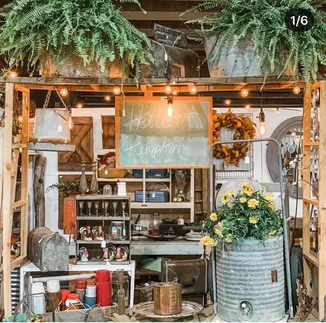 Vintage Market Days of Asheville Metro