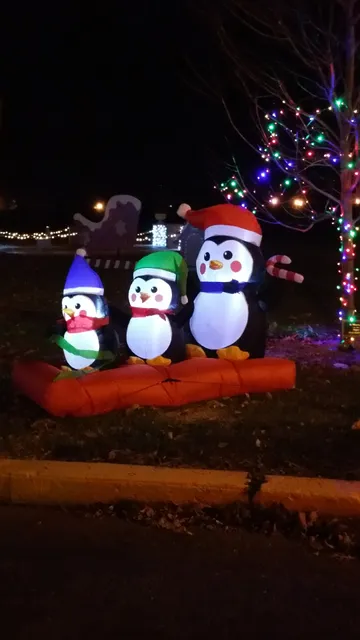 Roxana Community Pool