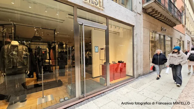 Dev (Tod's Hogan Fay)