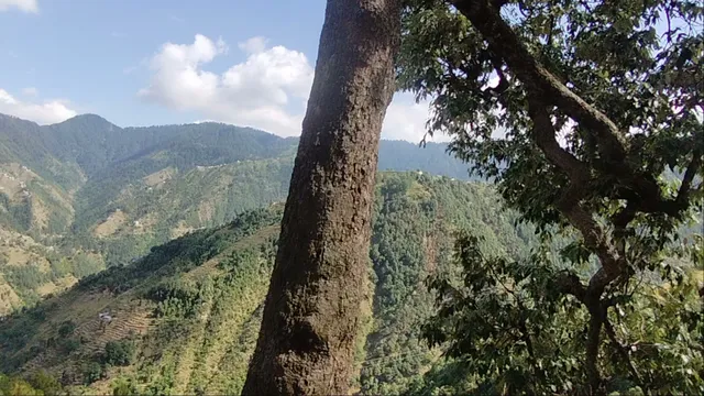 GATE VALLEY HOMESTAY