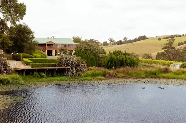 djinta djinta Winery