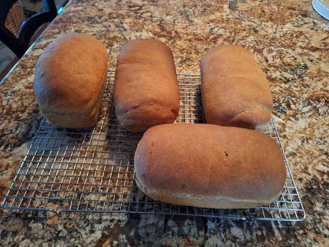 Brian Severson Farms Inc