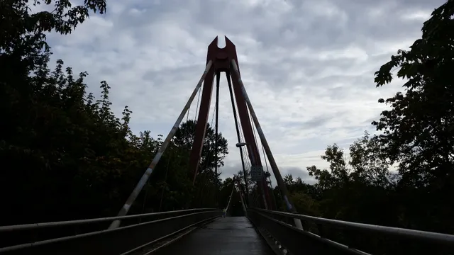 Peter DeFazio Bridge