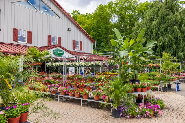 Van Wilgen's Garden Center