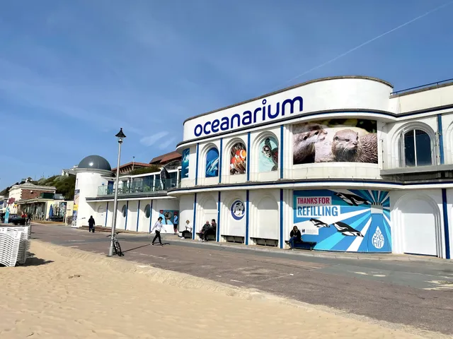 Summerbreeze Orchard