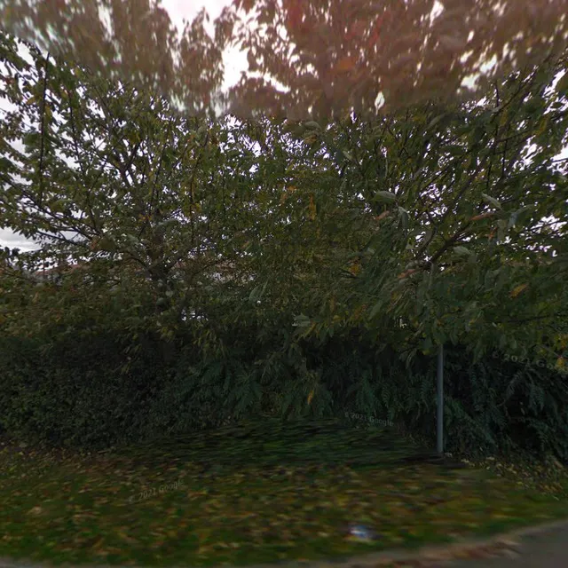 Friends Together Club