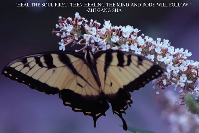 Integrative Health Practices, LLC