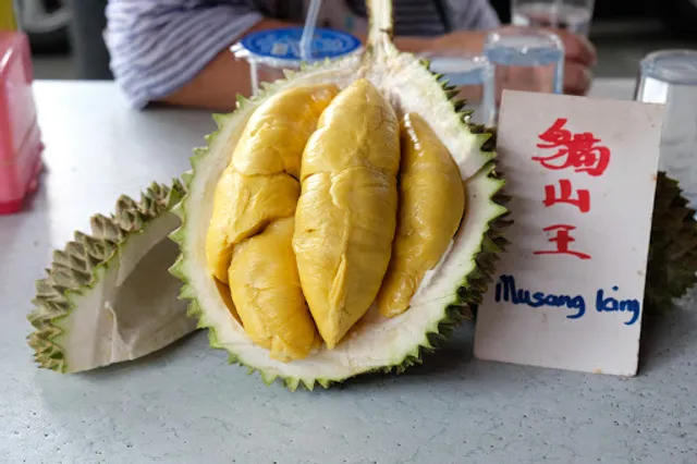 Durian Central Macalister