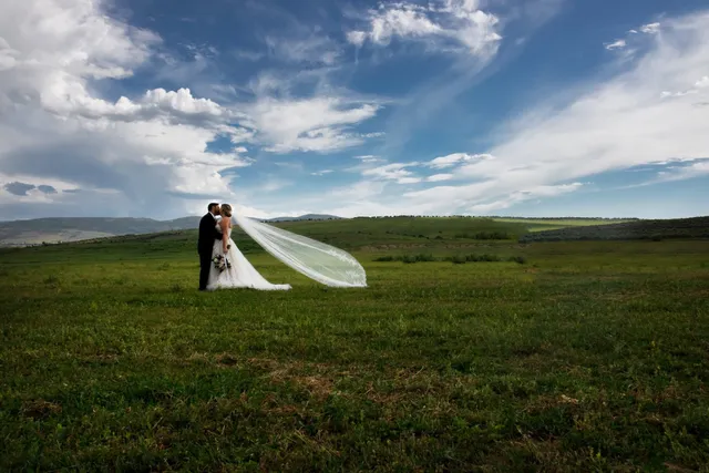 Bar 7 Bed Bath and Barn