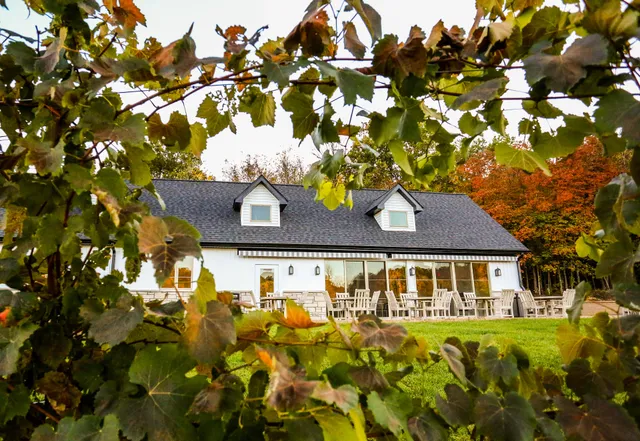 Chateau Sainte Genevieve Winery