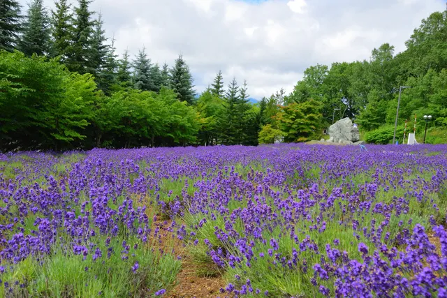 Tokai University Sapporo Campus