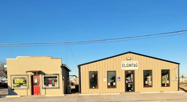 ELGIN TAG AGENCY