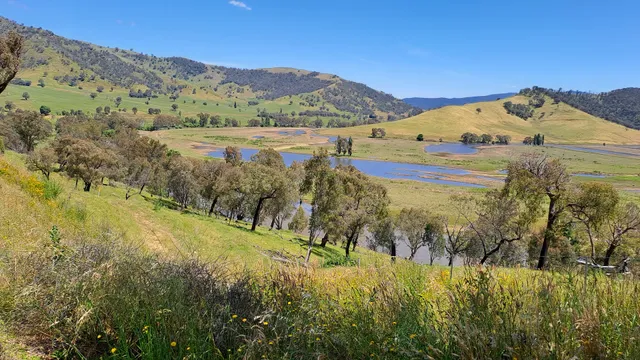 Mount Alfred Gap Lookout and Eagle Sculpture