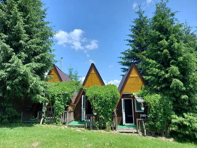 Casa Paltin și Casa Paltin Cabane