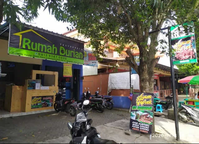 Rumah Durian Yogyakarta