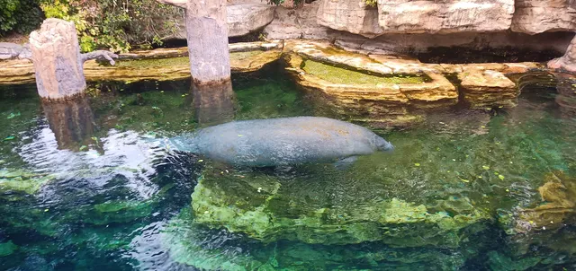 SeaWorld Rescue Tours