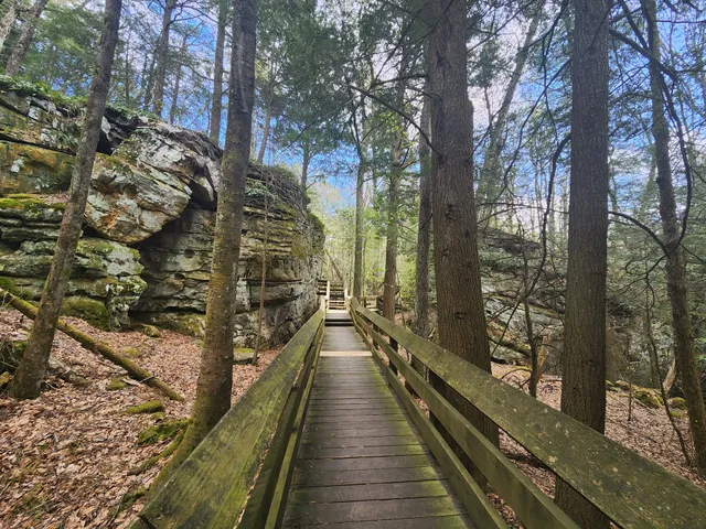 Beartown state park-Boardwalk