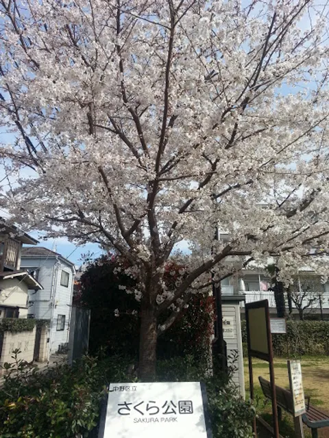 Sakura Park