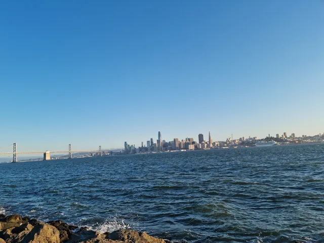 Treasure Island Dog Park