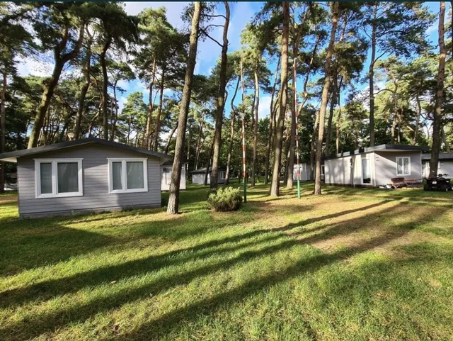 Holiday Resort "Pine Forest"