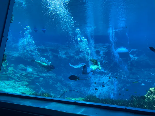 Weeki Wachee Springs State Park Kayak Rentals