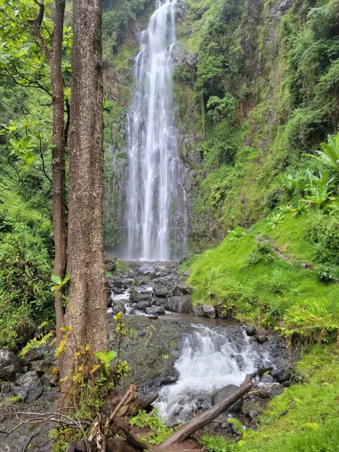 Materuni Trekking And Coffee Tour