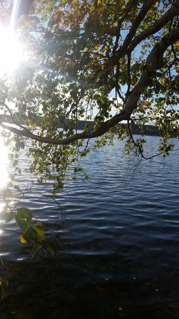 Country House by Pertozero