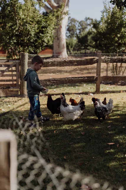 Clover Cottage Retreat