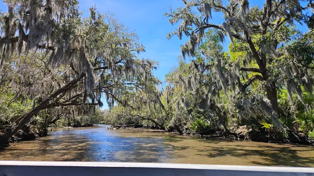 Louisiana Tour Company - SWAMP DOCK