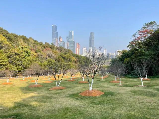 Nanning Shimen Forest Park