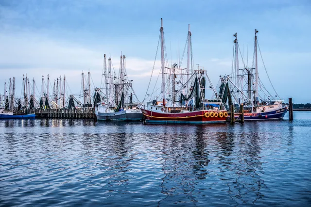 Biloxi Shrimp Co.