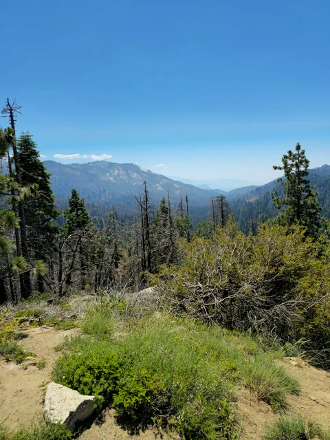 Redwood Mountain Overlook