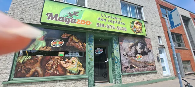 Magazoo The Universe Of Reptiles