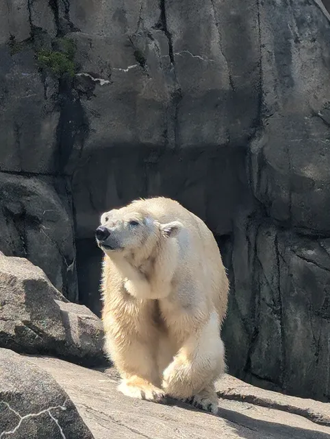Zoological Society Of Pittsburgh