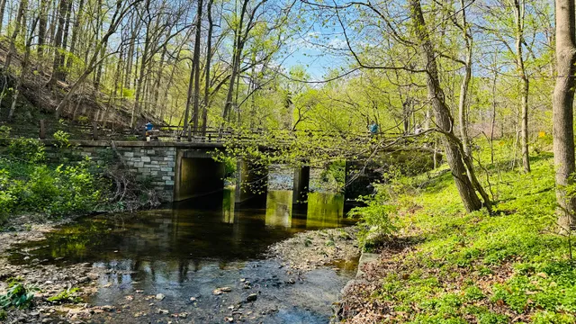 Beach Drive Walking/Biking Path