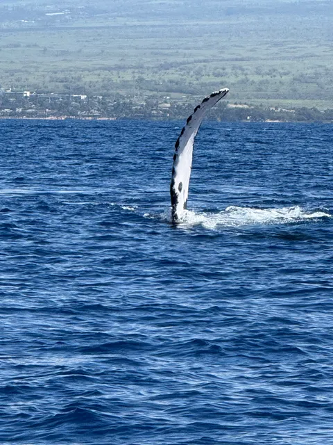 Hawaii Nautical (Maalaea - Wailuku)